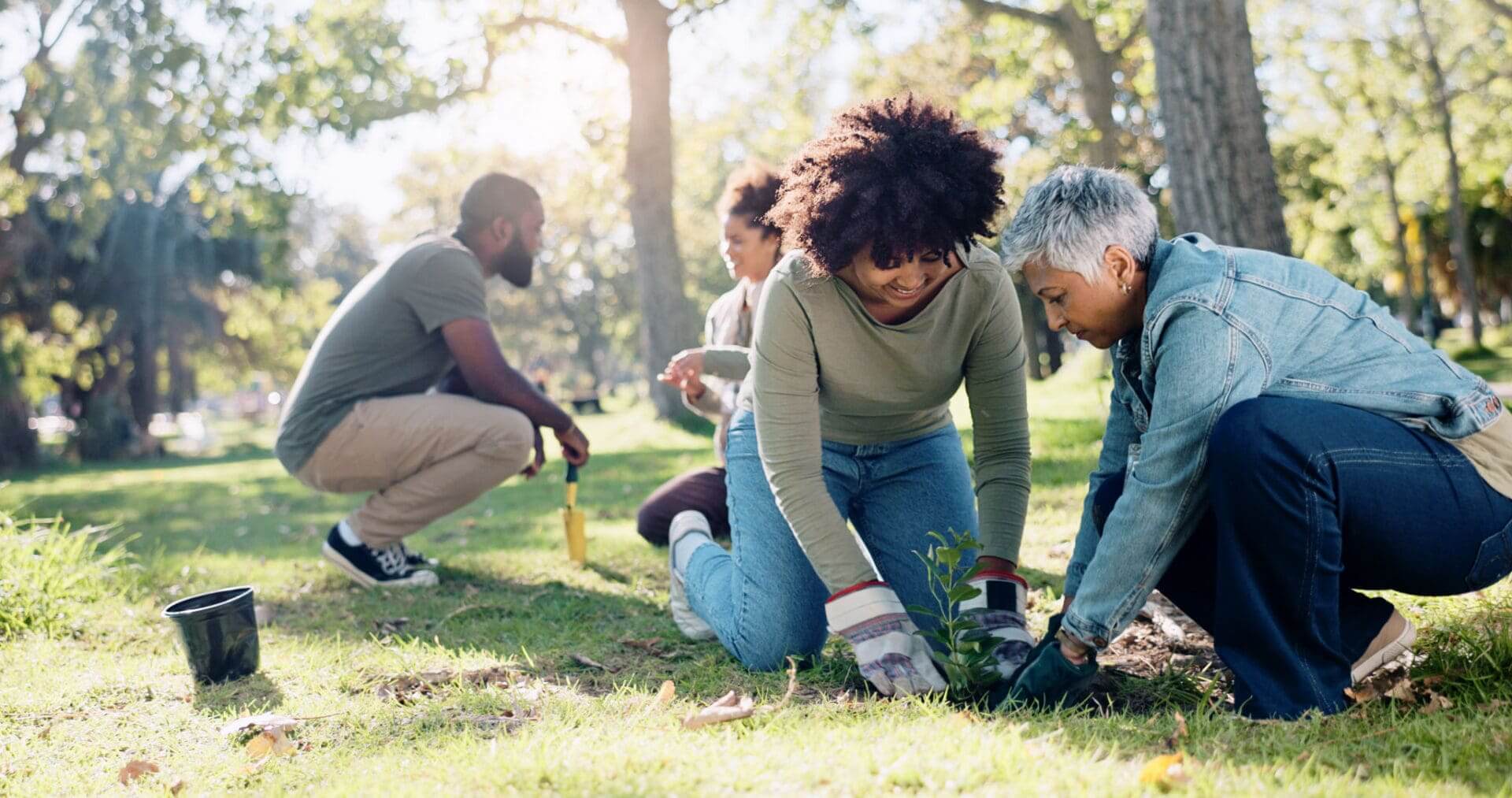 Group gardening in sunny weather